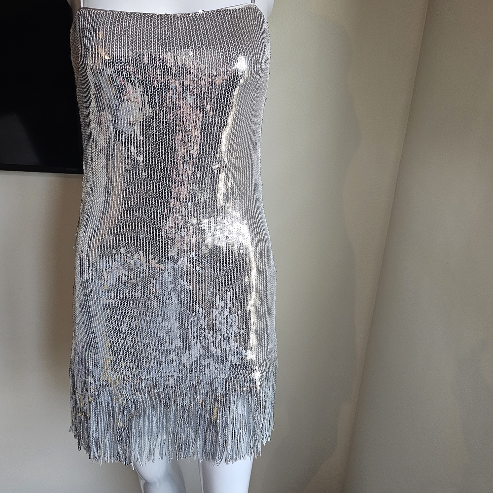 Silver Sequin Fringe Dress